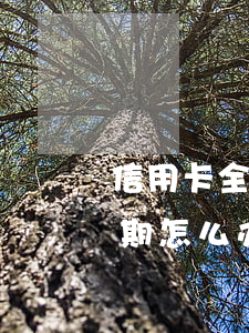 信用卡全面逾期后怎么规划(大面积信用卡逾期怎么办)