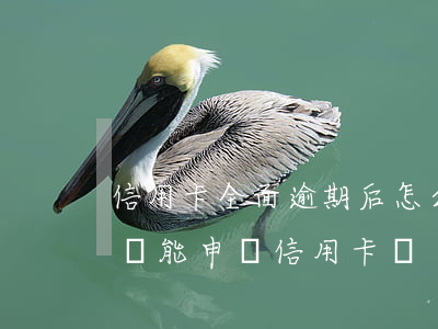 信用卡全面逾期后怎么還款(有逾期還款記錄還能申請信用卡嗎)