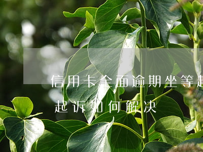 信用卡全面逾期坐等起诉(信用卡逾期面临被起诉如何解决)