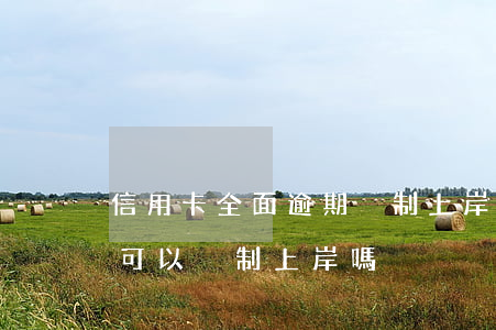 信用卡全面逾期強制上岸(信用卡及銀行貸款可以強制上岸嗎)