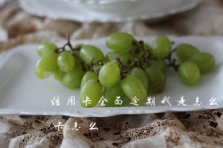 信用卡全面逾期我是怎么樣生活(逾期了信用卡怎么辦)
