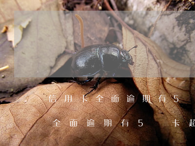 信用卡全面逾期有5張卡超過5萬-信用卡全面逾期有5張卡超過5萬怎么辦