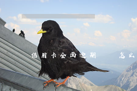 信用卡全面逾期紀錄 怎么可以查信用卡逾期記錄?