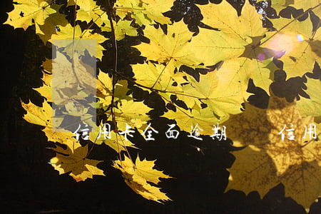 信用卡全面逾期視頻(信用卡 逾期記錄)