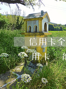 信用卡全面逾期超出還款能力(有過逾期的信用卡還能提額度嗎)