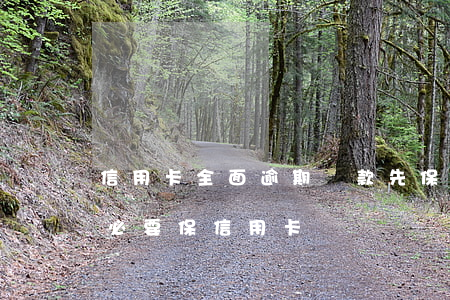 信用卡全面逾期還款先保哪個(全面逾期了有必要保信用卡嗎)