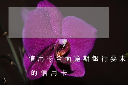 信用卡全面逾期銀行要求還最低(逾期最好下的信用卡)