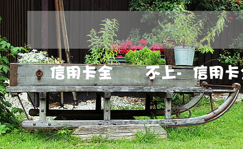 信用卡全額還不上-信用卡全額還不上怎么辦