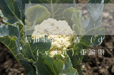 信用卡全額還清導(dǎo)致逾期(信用卡嚴(yán)重逾期還清額度還在)
