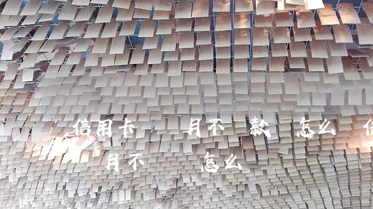 信用卡兩個月不還款會怎么樣(信用卡逾期一個月不還會怎么樣)