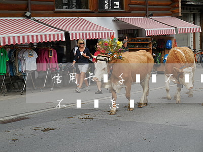 信用卡兩千塊錢不還會怎樣(信用卡兩千塊錢不還會怎樣)