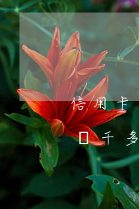 信用卡兩千多沒還說要負法律責任-信用卡兩千多沒還說要負法律責任嗎