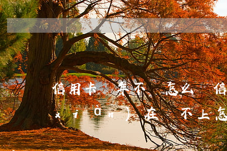 信用卡兩年不還怎么辦(信用卡還了一年現(xiàn)在還不上怎么辦)