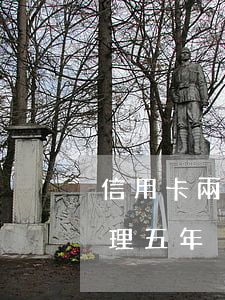 信用卡兩年內(nèi)有5次逾期怎么處理(五年內(nèi)信用卡逾期10次但兩年內(nèi)無逾期)