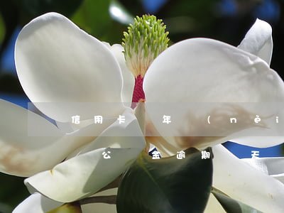 信用卡兩年內(nèi)有逾期影響公積金嗎 公積金逾期兩天會(huì)不會(huì)影響信用