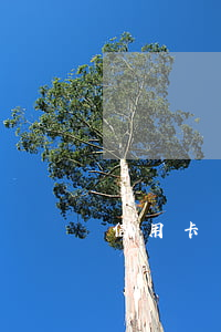 信用卡兩年內(nèi)逾期20次