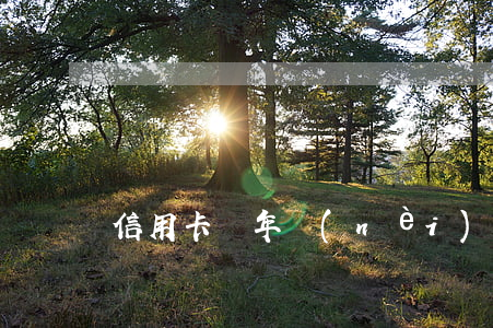 信用卡兩年內(nèi)逾期23次怎么辦