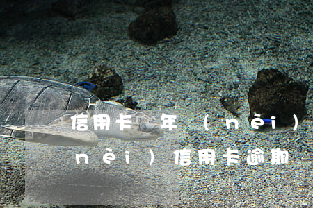 信用卡兩年內(nèi)逾期兩次(一年內(nèi)信用卡逾期兩次)
