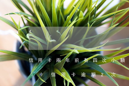 信用卡兩年前有四次小額逾期(兩年內(nèi)信用卡逾期2次)
