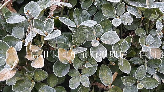信用卡兩年前有逾期房貸(信用卡逾期兩年了)