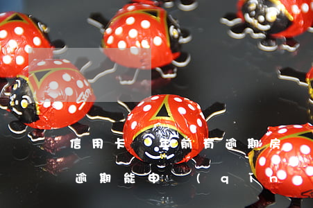 信用卡兩年前有逾期房貸嗎(信用卡3年前有逾期能申請(qǐng)房貸嗎)