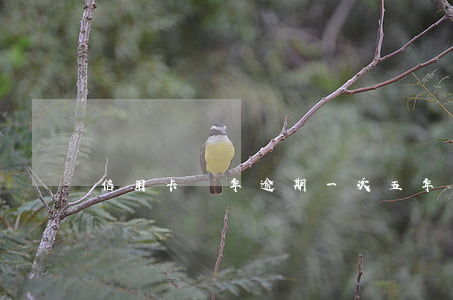 信用卡兩年逾期一次五年6次