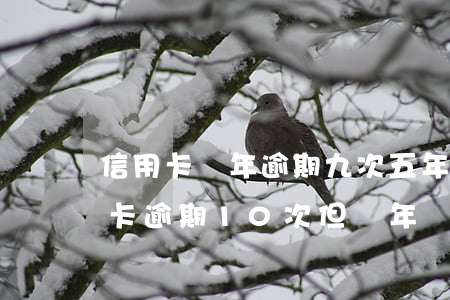 信用卡兩年逾期九次(五年內(nèi)信用卡逾期10次但兩年內(nèi)無逾期)