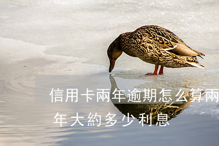 信用卡兩年逾期怎么算(兩千的信用卡逾期五年大約多少利息)
