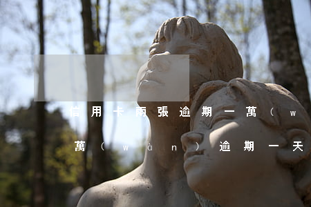 信用卡兩張逾期一萬(wàn)多 信用卡2萬(wàn)逾期一天多少錢(qián)