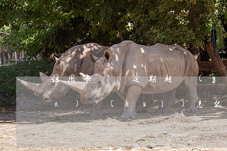 信用卡兩張逾期超過(guò)五萬(wàn)會(huì)怎么樣-信用卡兩張逾期超過(guò)五萬(wàn)會(huì)怎么樣嗎