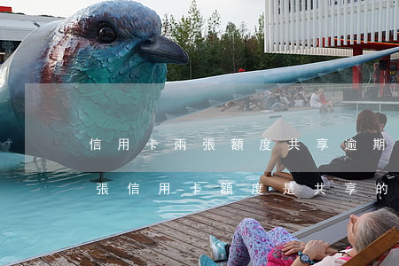 信用卡兩張額度共享逾期超過六萬(申請了兩張信用卡額度是共享的嗎)
