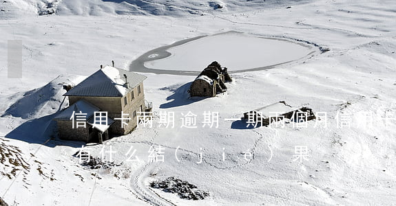 信用卡兩期逾期一期(兩個月信用卡逾期不還有什么結(jié)果)