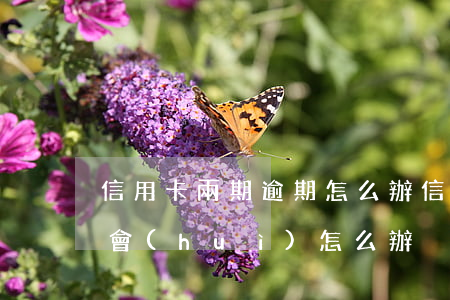 信用卡兩期逾期怎么辦(信用卡2萬逾期半年會(huì)怎么辦)