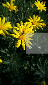 信用卡兩次逾期怎么辦