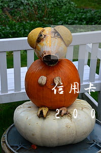 信用卡兩萬(wàn)逾期了怎么辦(信用卡20000逾期3個(gè)月了)