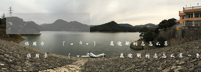 信用卡兩萬(wàn)額度逾期利息怎么算(信用卡兩萬(wàn)額度逾期利息怎么算一年)