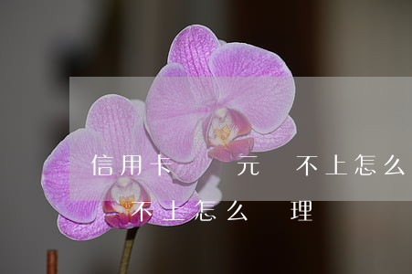 信用卡兩萬元還不上怎么辦(信用卡幾萬塊錢還不上怎么處理)