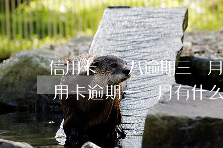 信用卡兩萬八逾期三個月會怎么樣 三千的信用卡逾期一個月有什么后果