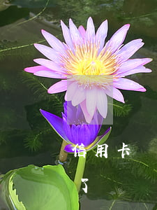 信用卡兩萬逾期七年-信用卡兩萬逾期七年了