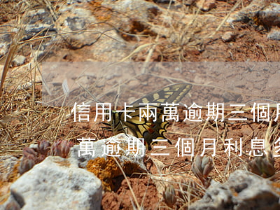 信用卡兩萬逾期三個月利息多少-信用卡兩萬逾期三個月利息多少錢