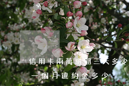 信用卡兩萬逾期三天多少錢(3萬信用卡逾期一個月違約金多少)