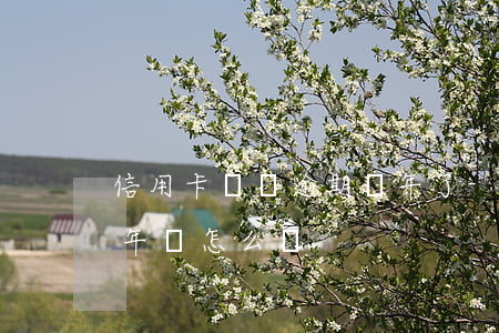 信用卡兩萬逾期兩年了-信用卡2萬逾期半年會怎么辦