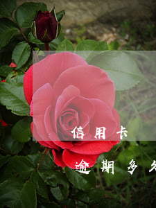 信用卡兩萬逾期多久會坐牢 信用卡2萬額度逾期多久會被起訴?