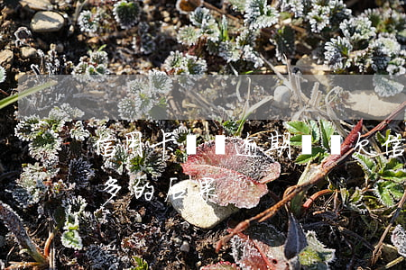 信用卡兩萬逾期沒還 欠信用卡兩萬逾期一年多的后果