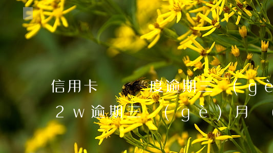 信用卡兩萬額度逾期三個(gè)月(信用卡2w逾期三個(gè)月會(huì)起訴嗎)
