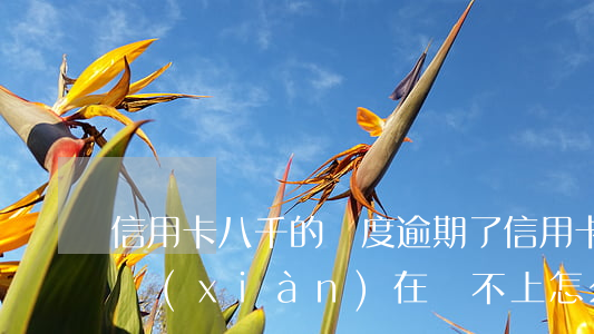 信用卡八千的額度逾期了(信用卡逾期八萬多,現(xiàn)在還不上怎么辦)