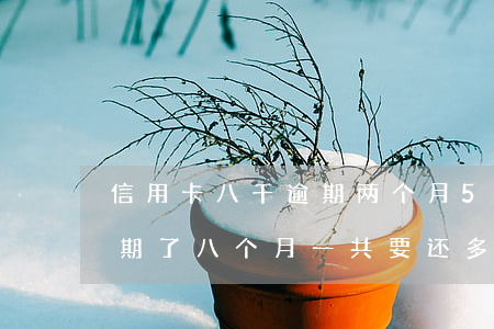 信用卡八千逾期两个月(5000的信用卡逾期了八个月一共要还多少)