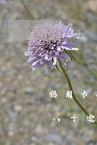 信用卡八千逾期兩個月會被起訴嗎-信用卡八千逾期兩個月會被起訴嗎知乎