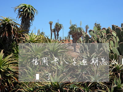 信用卡八千逾期怎么辦(信用卡八千逾期怎么辦了)