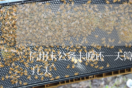 信用卡公务卡晚还一天算逾期吗(公务卡逾期几天)
